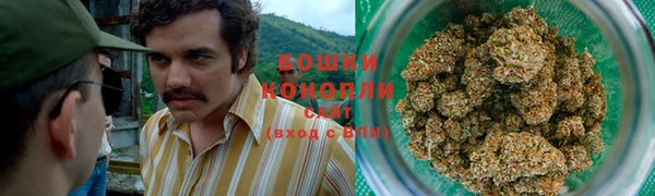 шишки Касимов