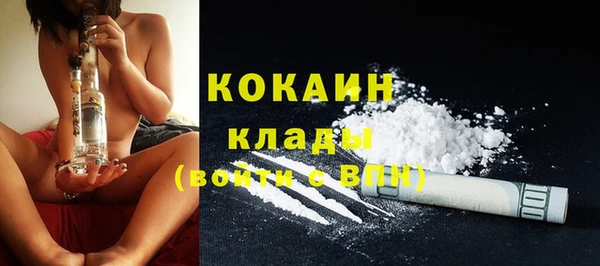 шишки Касимов